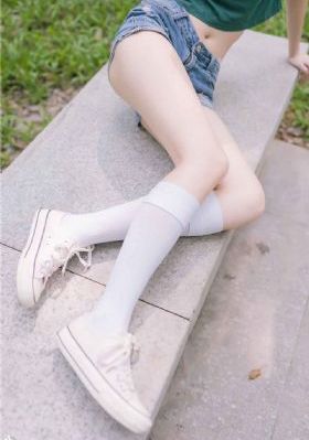 春日宴电视剧免费观看全集完整版